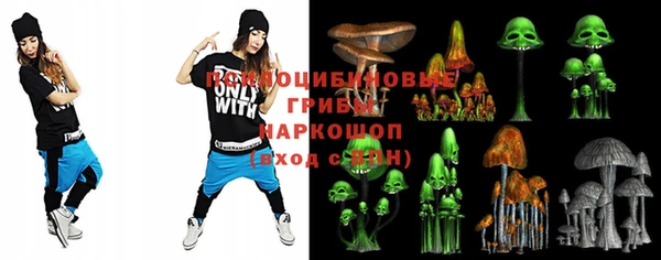 ешки Алексин