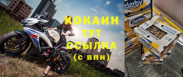 ешки Алексин