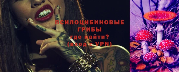 стаф Алексеевка