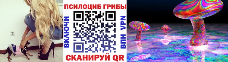 Псилоцибиновые грибы Cubensis  Ветлуга 